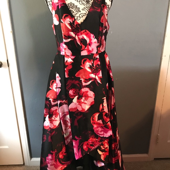 shelby nites dresses